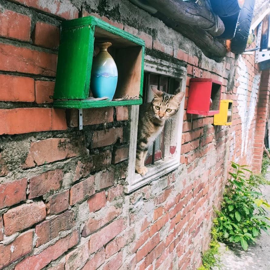 M Hostel貓客棧-清交大藝術眷村客棧 Сіньчжу Екстер'єр фото